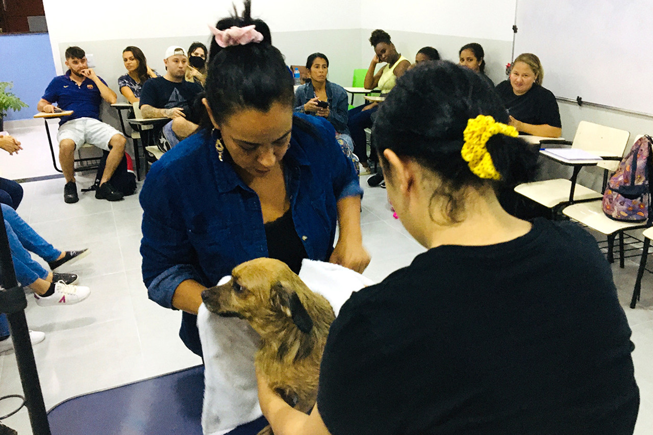 Curso de Auxiliar de Veterinário e Pet Shop é o mais procurado no CCPL João Ricardo Pelúcio Rosa