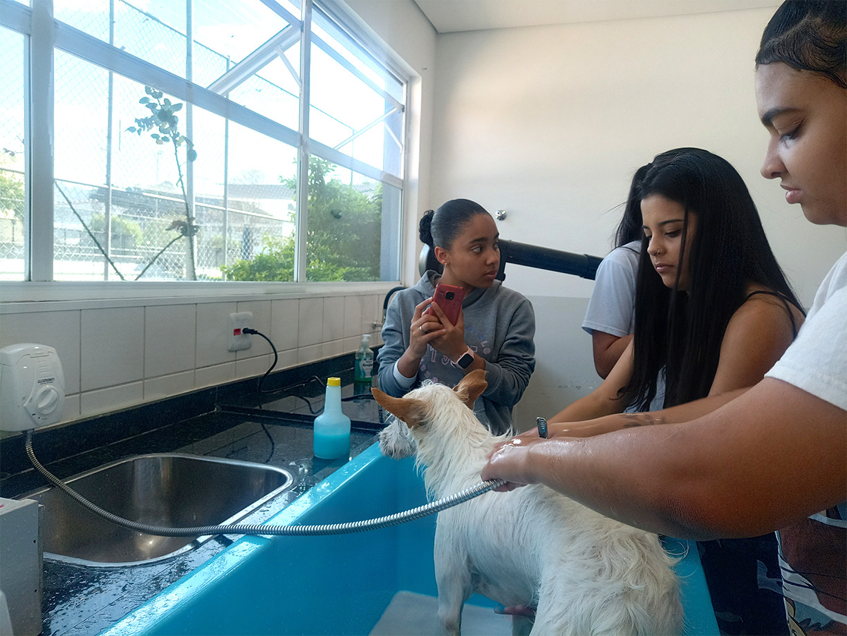 Curso de Auxiliar de Veterinário e Pet Shop-1